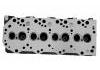 Cylinder Head:OSL01-10100E