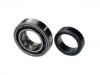 Dichtungsvollsatz, Motor Wheel Hub Bearing:53000475