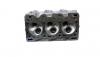 Cylinder Head:11110-73002